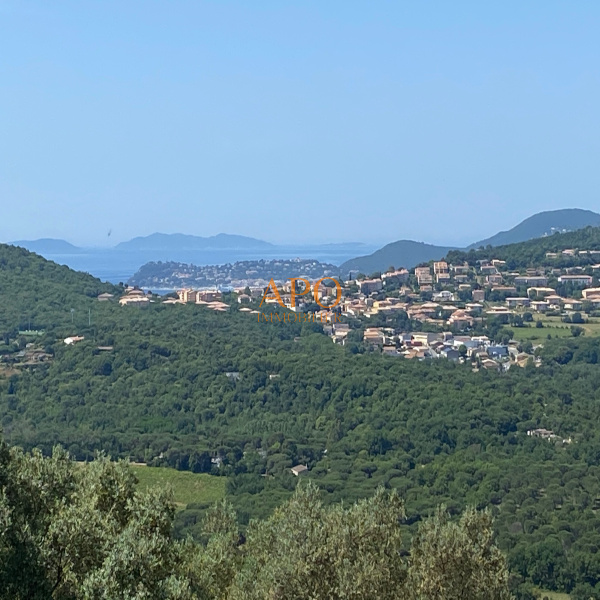 Vente Immobilier Professionnel Fonds de commerce Saint-Tropez 83990